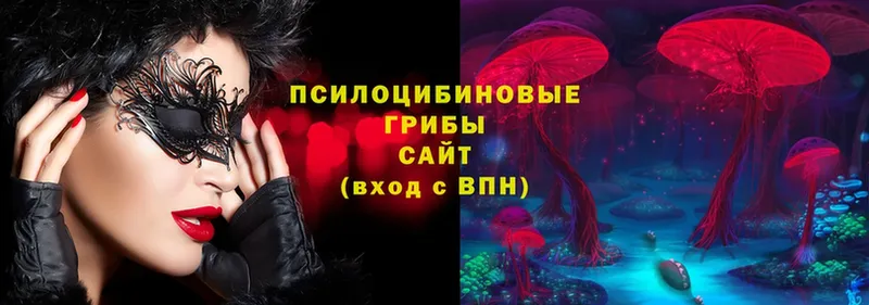 сколько стоит  Камышин  Псилоцибиновые грибы Psilocybe 